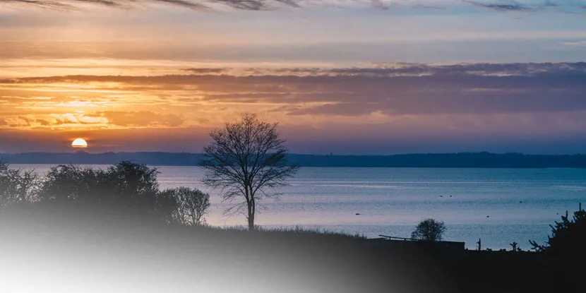 Vordingborg: Byen med historie, natur og liv