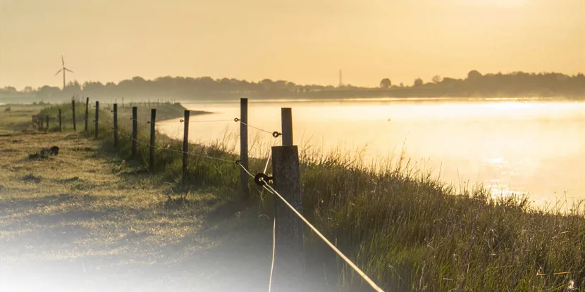 Holbæk: En guide til den charmerende by ved Isefjorden