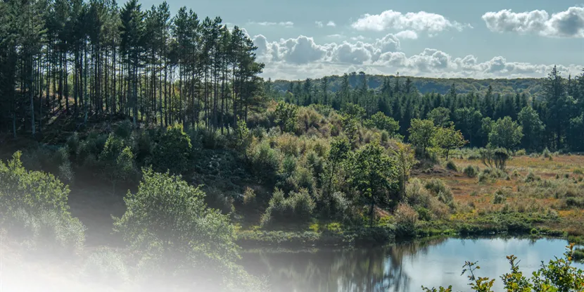 Holstebro: Alt hvad du behøver at vide om byen