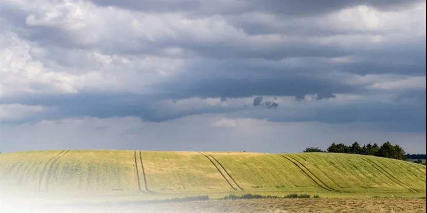 Viborg: Historie, kultur og naturens by