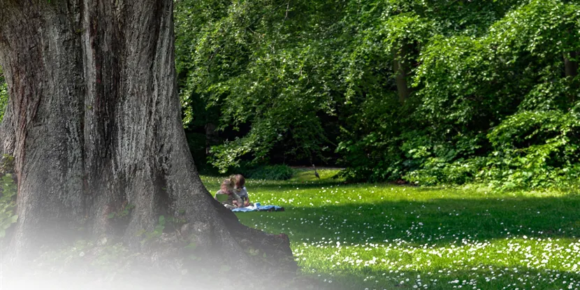 Shopping, kultur og natur: Taastrup har alt at byde på!